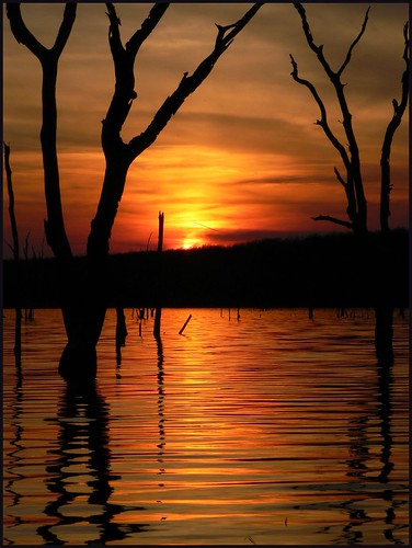 trees sunset orange lake oklahoma landscape scenic explore okmulgee blueribbonwinner drippingspringslake abigfave anawesomeshot impressedbeauty diamondclassphotographer flickrdiamond