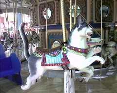 200602010021_00003 Roseville Galleria Carousel Cat