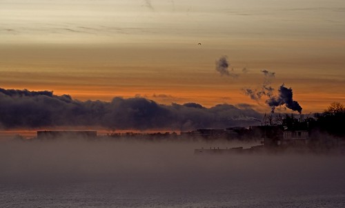 ocean sky cloud bird norway sunrise geotagged norge seagull gull smoke norwegen steam noruega esso refinery norvegia oslofjord oslofjorden norvege exxon vestfold norja åsgårdstrand norveska norvegienne