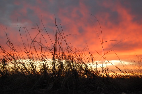 sunset sun oklahoma grass panhandle goodwell d40