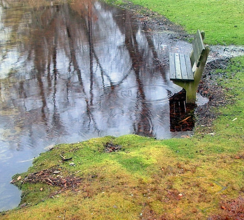 bench ma rainyday capecod sandwich greatview sandwichma shawmepond