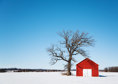 christmas travel blue winter red sky white snow cold color colour tree art tourism ice field horizontal wisconsin composition barn rural season outdoors boards midwest scenery holidays snowy farm painted branches horizon country shed perspective bluesky visit simplicity americana copyspace leafless simple frigid oaktree hue wi redbarn clearsky selectivefocus winterlandscape dairyfarm stoughton stockphotography redshed royaltyfree scenicdrive agribusiness agritourism ruralscene rightsmanaged leaflesstree wisconsinwinter barndoors rurallandscape winterfarming stoughtonwisconsin ruralwisconsin wisconsinfarm winterinwisconsin wisconsinphotographer horizonoverland wisconsinlandscape toddklassy wisconsinfarming