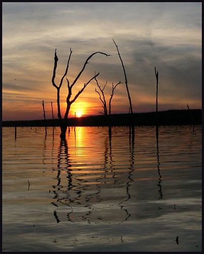 trees sunset orange oklahoma water landscape scenic paddling okmulgee naturesfinest drippingspringslake