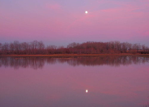pink trees sunset moon reflection orleans indiana luna 100views 300views 200views orangecounty easternsky citylake p56