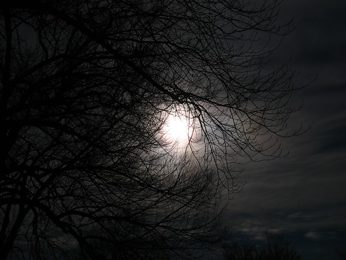 sky moon tree silhouette night dark early scary cloudy silhouettes eerie full fullmoon spooky wv westvirginia late mystical erie lunar takenbyandy mywinners abigfave