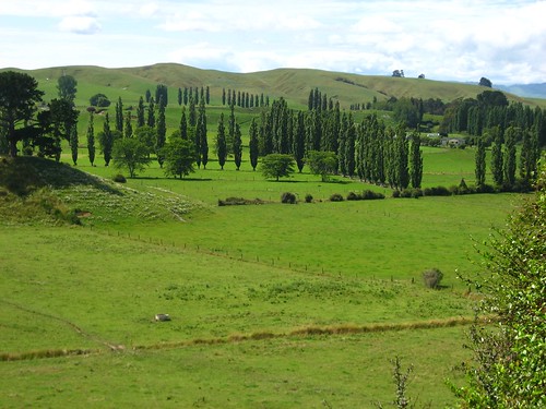 park newzealand green grass landscape geotagged geo:lat=37512245 geo:lon=175166702