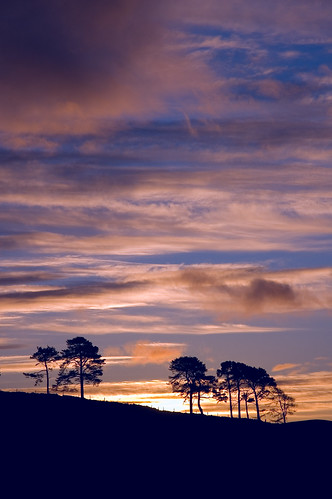 trees sky sunrise d50 scotland aberdeenshire balloch alford mikon cairnballoch stronehill