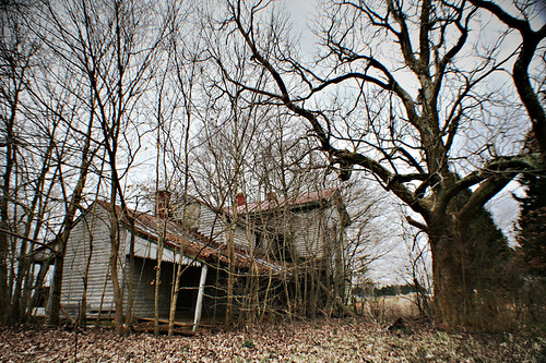 house tree abandoned rural landscape decay farm kentucky