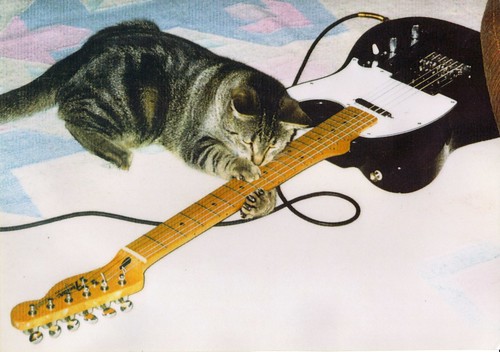Cat Scratch Fever! - Ottawa 2002