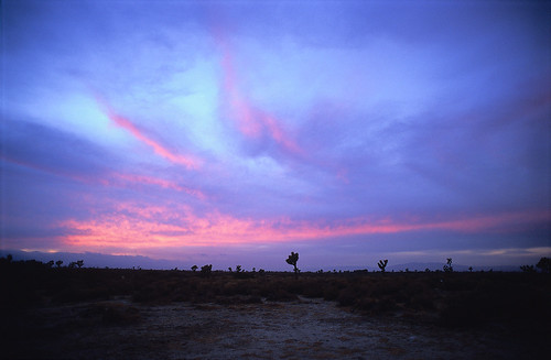 california sunset tree nikon purple desert joshua f100 velvia lancaster catchycolor 100f