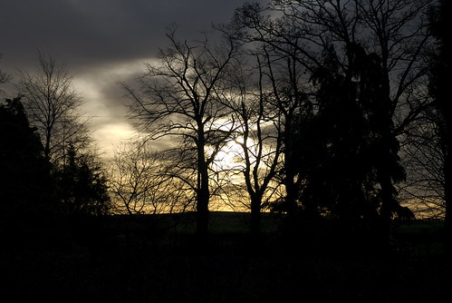 winter sky tree clouds sunrise raw fulbourn d80