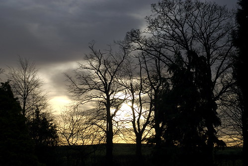 winter sky tree clouds sunrise raw fulbourn d80