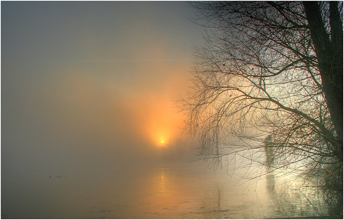 winter tree fog seine sunrise river bravo soft hdr blend beautifulearth abigfave superbmasterpiece flickrdiamond