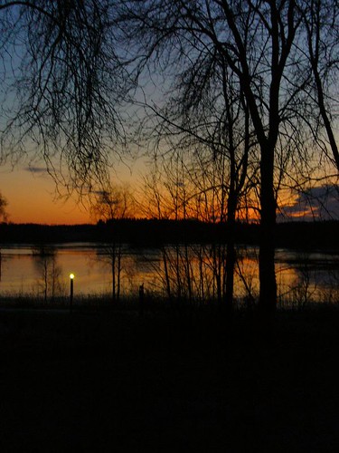 winter sunset sky lake water finland landscape branch christmasday laukaa