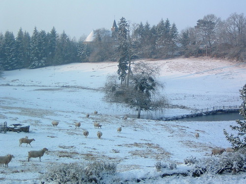 christmas new travel winter snow france castle nature breakfast river hotel countryside bed pond day sheep years accommodation chateau manor moutons charme sarthe conflans ouest saintcalais