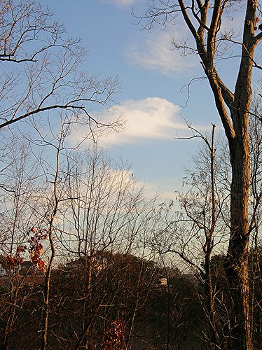 morning sky tree clouds sunrise georgia woodstock