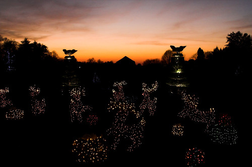 christmas sky holiday night unitedstates pennsylvania events scenic favorites places longwoodgardens sunsetsunrise holidaylighting score40