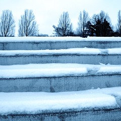 Snowy Stairs · Tree Tops