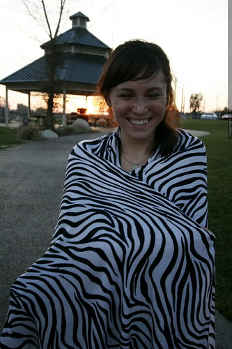 zebra at sunset    MG 1010