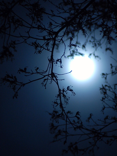 longexposure blue moon up night nightsky