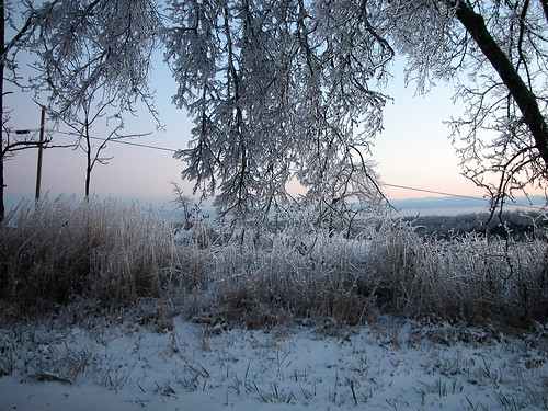 christmas winter sunset wild usa snow storm cold tree art ice nature set rural america sunrise landscape frozen woods december unitedstates kentucky ky branches country january conservation east environment wilderness february eastern bitter froze bestnaturetnc06 preservetnc07 bestnaturetnc07