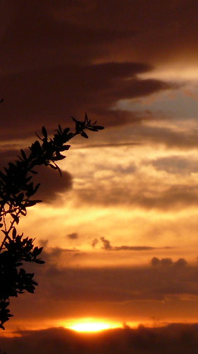 sunset sky sun color clouds evening colorful branch texas wcshart2007