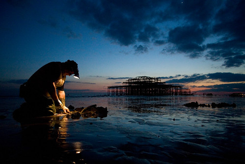 sea sky man reflection male beach wet water landscape pier sand brighton dusk tide low documentary ground westpier terry 5d lowtide top20landscape top20night stucture lugworm canoneos5d ratseyeview пляж eos5d lugworms deletetag top20landmarks canonef2035mmf3545usm file:name=img0513ps submittedtojpg nocturnalmasterpiece howwearenow rota:type=landscape rota:type=showall rota:type=composition rota:type=accessories rota:type=lowlight rota:type=portraits rota:type=lightingexsposure use:on=moo top10brighton use:on=alamy published:title=hotshots hotshotspagenumber58 image:selection=tn image:selection=tombing