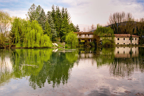 house lake reflection tree green water dream weepingwillow abruzzo laquila nothdr isawyoufirst vetoiohdr