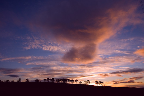 sky tree sunrise d50 scotland nikon day aberdeenshire cloudy balloch alford cairnballoch stronehill