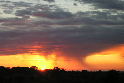 africa rain clouds sunrise landscape southafrica dawn krugernationalpark kruger