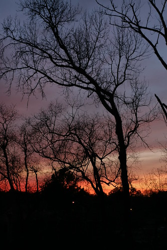 trees sunset sky silhouette 50mm 30d canonef50mmf14usm canon30d chrislin christopherlin
