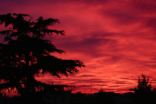 sunset red sky sun black blood tramonto purple silhouettes bloody sole rosso nero salento sangue antennas 2007 sagoma cedro maglie
