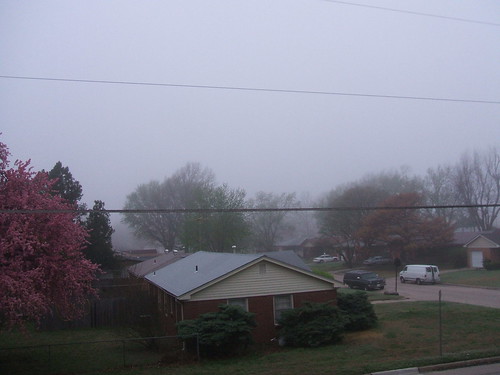 home weather fog outdoors spring
