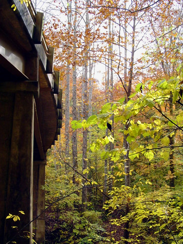 bridge autumn fall alabama winstoncounty sipseywilderness