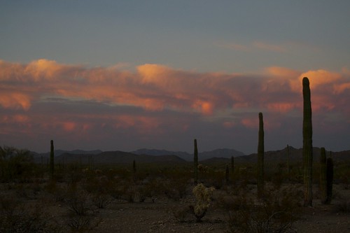day2 sunrise desert springbreak07