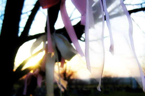 sunset sky tree cemetery memorial ribbons calvary