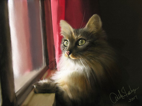 Cat Looking Out Window