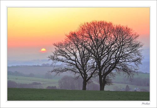 morning trees sunset sky nature landscape dawn spring colours belgium belgique couleurs pastel belgië ciel arbres paysage printemps matin leverdesoleil wallonie aube