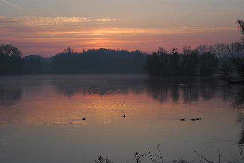 lake water sunrise germany see wasser sonnenaufgang morgen bielefeld obersee