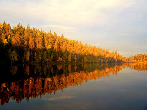 autumn trees water reflections landscapes russia lakes sunsets birch sunrises pinetrees waterscapes sunscapes specland