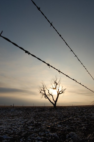 sunset sky sun snow tree fence photography wire ground february barbed panhandle okalhoma 2007 texhoma goodwell