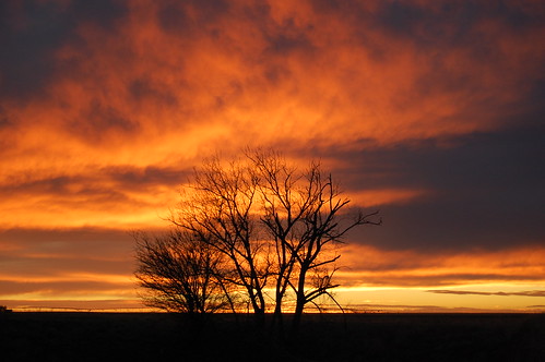 sunset cloud sun tree oklahoma clouds panhandle goodwell d40