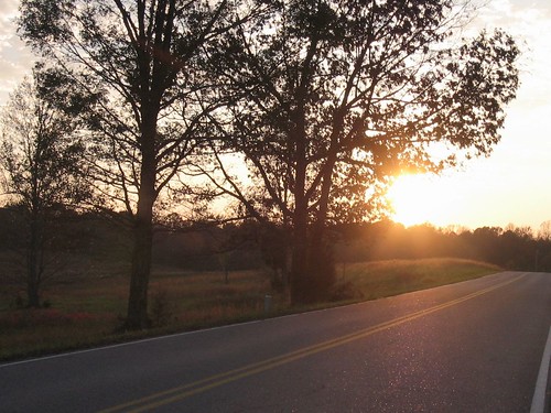 road trees sunset sky silhouette tennessee westerman