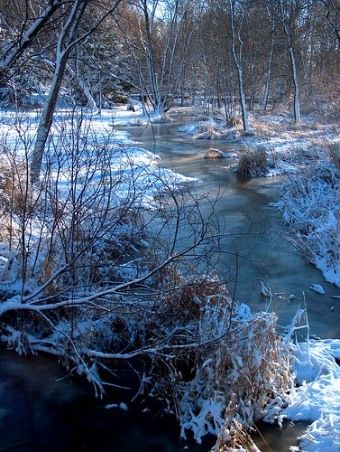 winter cold creek frozen