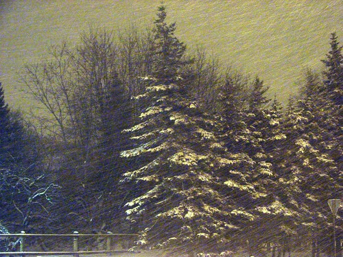 winter snow night landscape geotagged tallinn wind action sony gray snowstorm snowfall spruce dsc h5 pirita challengeyou challengeyouwinner geo:tool=gmif geo:lat=59374829 geo:lon=24710451