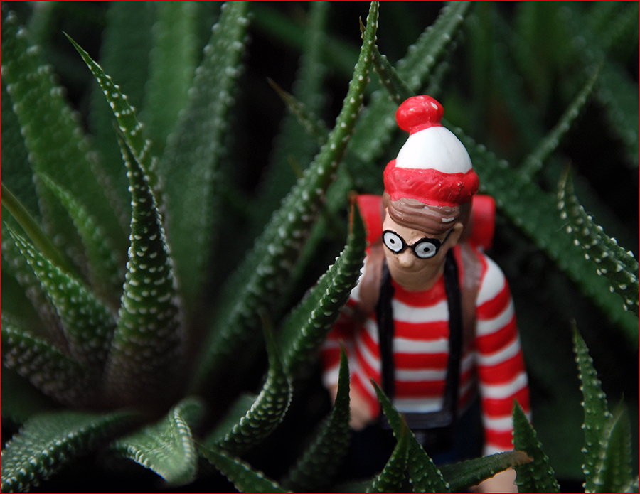 Where is Waldo?