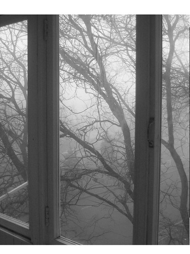 window fog moody view odessa ukraine