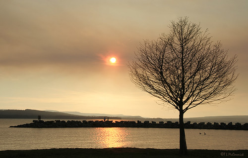 sunset geotagged smoke arkansas forestfire lakedardanelle zormsk superaplus aplusphoto tlmccormick