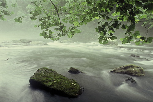 green film water virginia nikon velvia rivers fujichrome nikonf3 jeffersonnationalforest