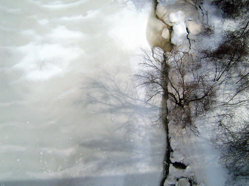 shadow ny tree ice kingston viewfromabove photocartnaturalworld